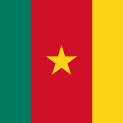 Cameroun Logo