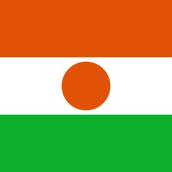 Niger Logo